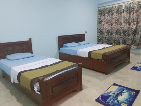 Nile Youth Hotelルクソール エクステリア 写真