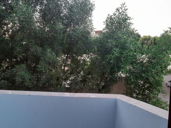 Nile Youth Hotelルクソール エクステリア 写真